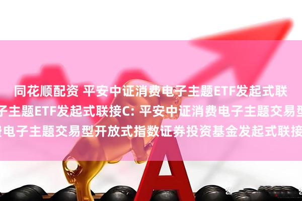 同花顺配资 平安中证消费电子主题ETF发起式联接A,平安中证消费电子主题ETF发起式联接C: 平安中证消费电子主题交易型开放式指数证券投资基金发起式联接基金托管协议