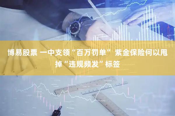 博易股票 一中支领“百万罚单” 紫金保险何以甩掉“违规频发”标签