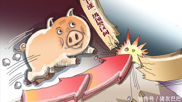 云管家 一夜升温，猪价“波动”上涨！附：6月21日猪价