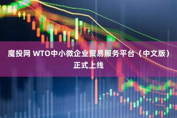 魔投网 WTO中小微企业贸易服务平台（中文版）正式上线