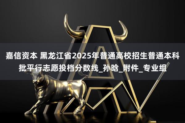 嘉信资本 黑龙江省2025年普通高校招生普通本科批平行志愿投档分数线_孙　晗_附件_专业组