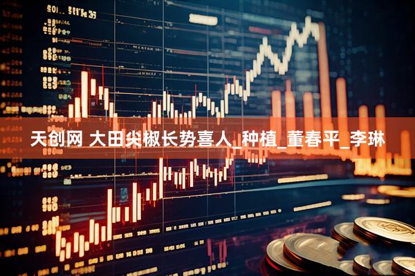 天创网 大田尖椒长势喜人_种植_董春平_李琳