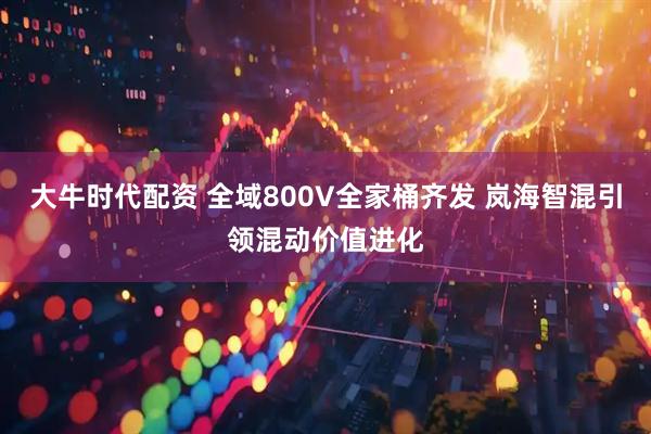 大牛时代配资 全域800V全家桶齐发 岚海智混引领混动价值进化
