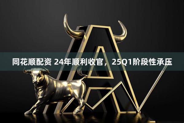 同花顺配资 24年顺利收官，25Q1阶段性承压