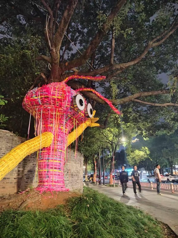 红盘策略 这个假期, 杭州这里的四棵“艺术树”火出圈